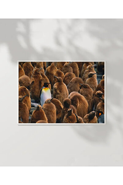 VOGLOO Poster among the Penguins