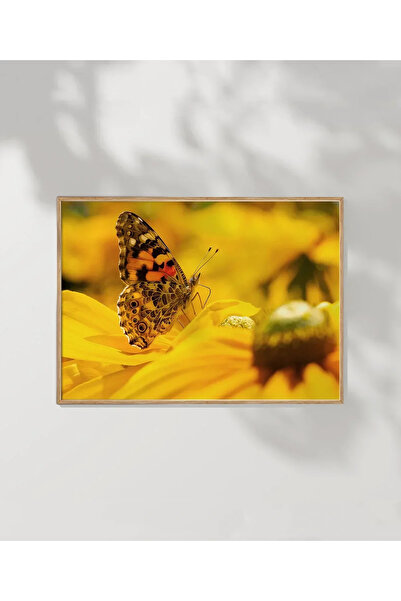 VOGLOO Sunflower and Butterfly Poster
