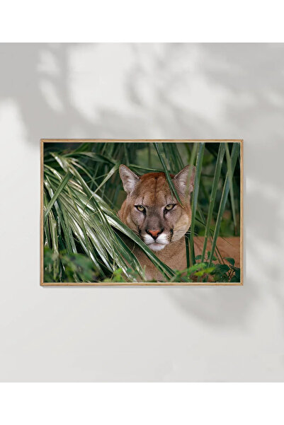 VOGLOO Puma in the Forest Poster