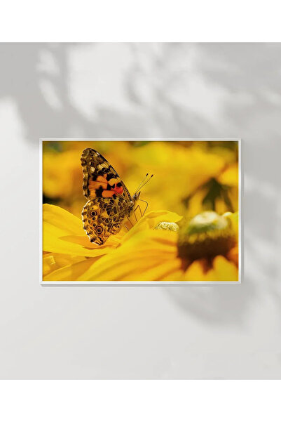 VOGLOO Sunflower and Butterfly Poster