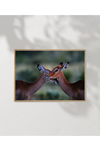 VOGLOO Loving Gazelles Poster