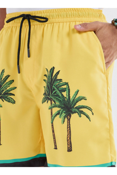 FAV Palm Tree Print Shorts with Drawstring Closure and Pockets