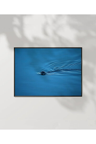 VOGLOO Blue Otter Floating in Water Poster