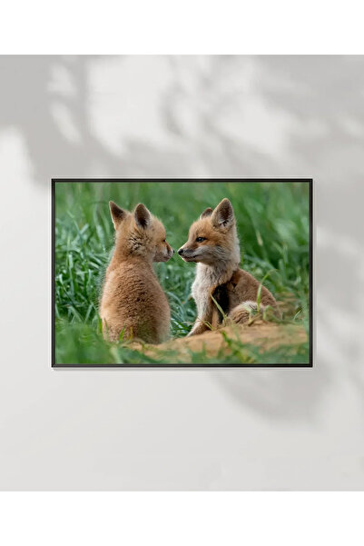VOGLOO Fox Friendship Poster