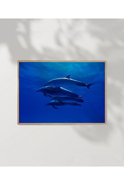 VOGLOO 1. Deep Blue Dolphins Poster