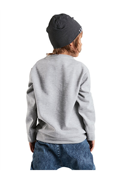 Denokids Roar Boy Gray Sweatshirt