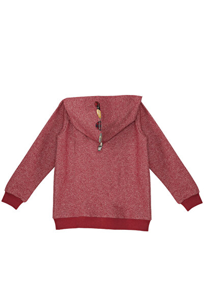 Denokids Dragon Boy Hooded Sweatshirt