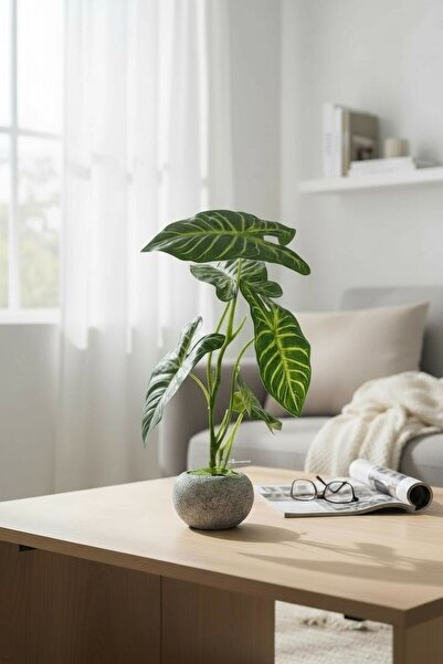 Casco نبتة اذن الفيل الصناعية بوعاء انيق 28سم