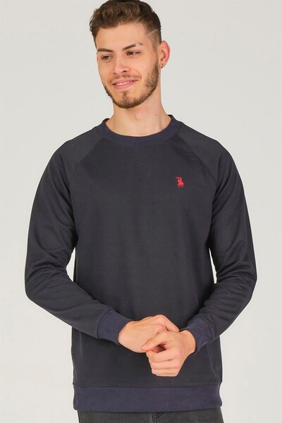 Dewberry V4003 Reglan Sleeve Men's Sweatshirt-Dark Blue