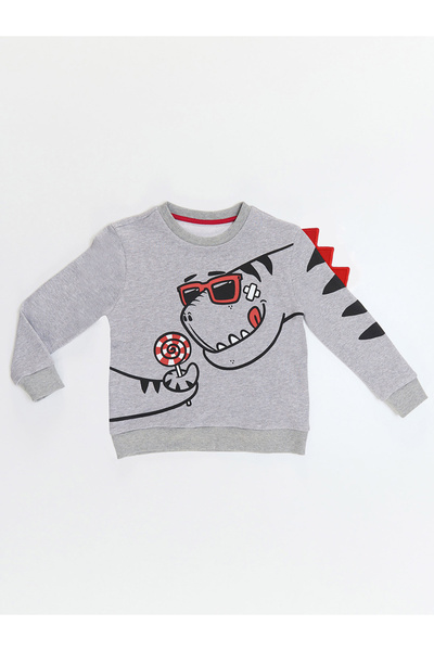 Denokids Candy Dinosaur Boy Gray Sweatshirt