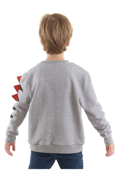 Denokids Candy Dinosaur Boy Gray Sweatshirt
