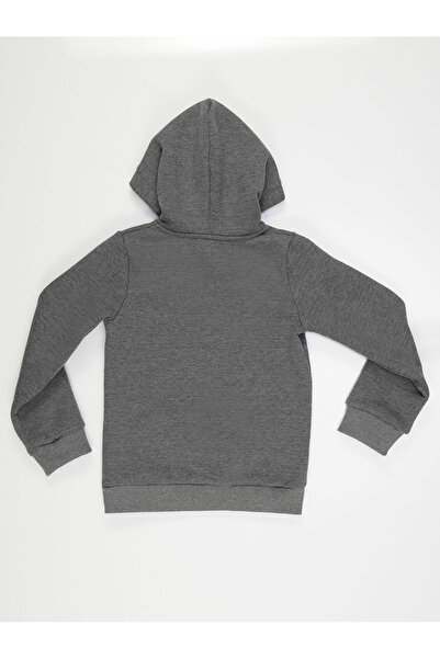 Denokids Cute Rabbit Girl's Sweatshirt