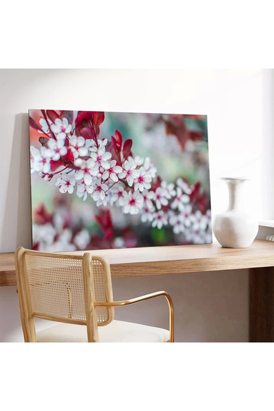 VOGLOO Cherry Blossoms Canvas Print