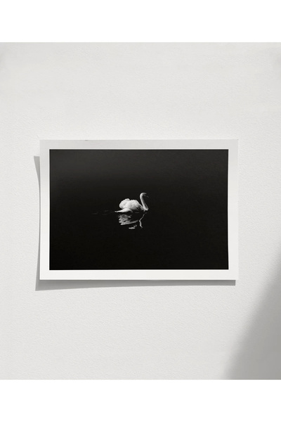 VOGLOO Unframed Poster Lonely Swan of the Night