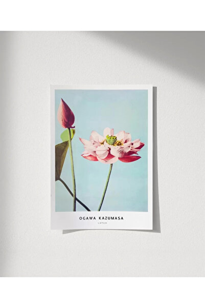 VOGLOO Αφίσα χωρίς πλαίσιο Ogawa Kazumasa Lotus