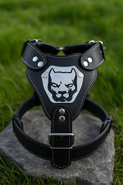 Carmen Köpek Tasma Gladyatör Göğüslük Büyük Boy+deri Örgü Gezdirme Siyah