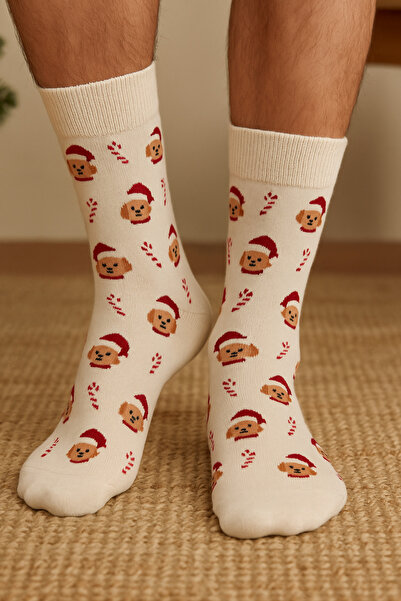 Katia&Bony Ανδρικές κάλτσες Dog Socket Beige Melange