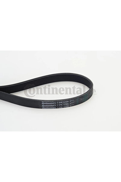 Continental DAF 85 CF/CF 85 V-Belt