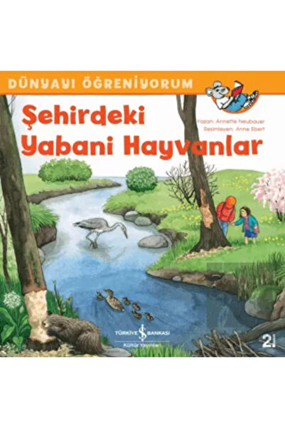 TÜRKİYE İŞ BANKASI KÜLTÜR YAYINLARI Şehirdeki Yabani Hayvanlar - Dünyayı Öğre...