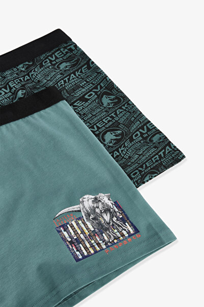 Penti Ανδρικά μπόξερ με σχέδια Jurassic Dinosaur