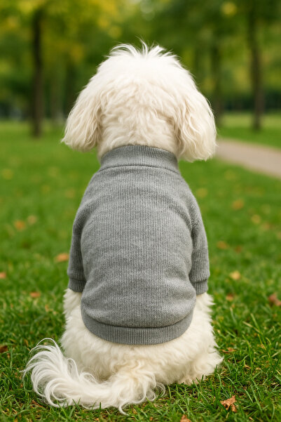 petite pati Gri Köpek Kazak – Sıcak Tutan Rahat Kışlık Köpek Giysisi