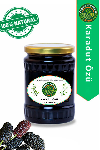 alanya organik köy pazarı %100 Doğal Katkısız Karadut Özü 800g Cam Şişe Ev Yapımı Şekersiz Yoğun Kıvamlı Şurup