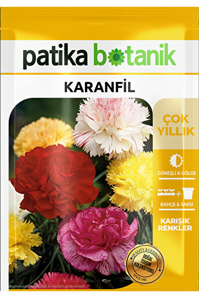 Patika Botanik 50 Adet Karanfil (DİANTHUS CARYOPHYLLUS) Çiçek Tohumu