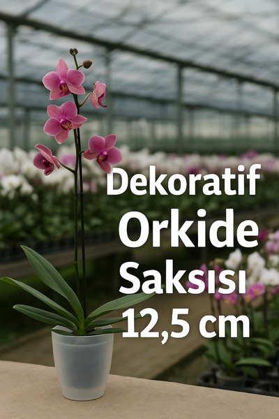 plant-home Beyaz Dekoratif Orkide Saksısı - 12 Lik Üretim Saksısına Uygun Kaliteli Ürün