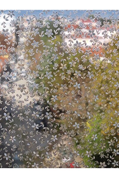 Başak Ev Tekstili Cam Filmi Kaplama Statik Folyo Buzlu Desenli Duşa Kabin Pencere Ofis Dekorasyon