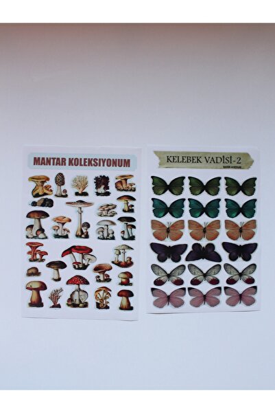 TRENDİN YOLU A4 Etiket Yapışkanlı şeffaf Sticker A5 boyutunda iki sayfa üz