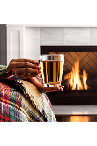 LAV Vega Glass Mug for 6 Persons 300 ml with Handle (Coffee/Tea Cup)