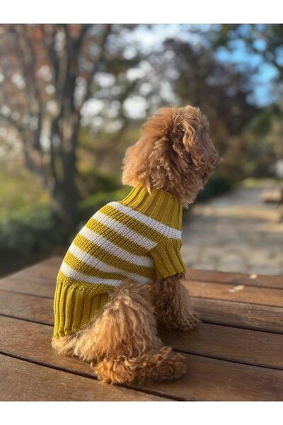 faramiss fashion SELANİK ÖRGÜ SİMLİ HARDAL BEYAZ ÇİZGİLİ KÖPEK KIYAFETİ KÖPEK KAZAĞI KEDİ KAZAĞI FRMSSFASHİON