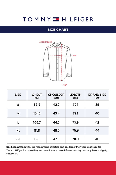 Tommy Hilfiger Men Green Striped Regular Fit All-Day Cotton Shirt