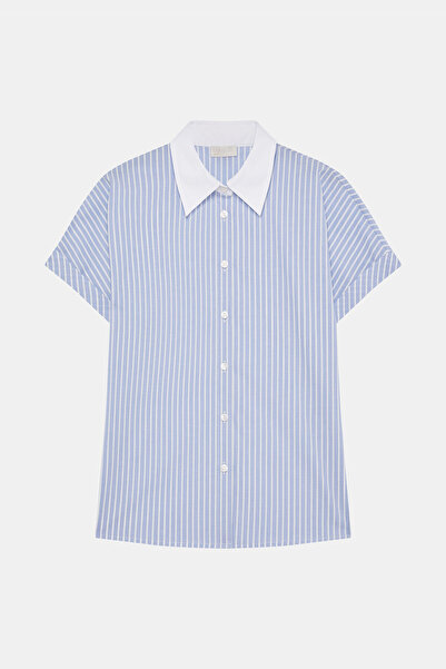 W Collection BLUE STRIPED SHIRT