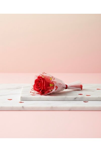 İZMİLA هدية أنيقة من الورد الأحمر، باقة واحدة، تغليف شفاف، هدية ليوم المعلم، ...