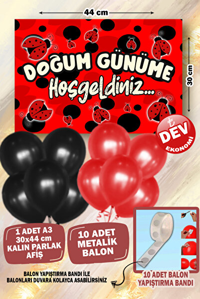 karanca parti süs Uğur Böceği Temalı 1 Yaş Doğum Günü Parti Süsleme Seti Kons...