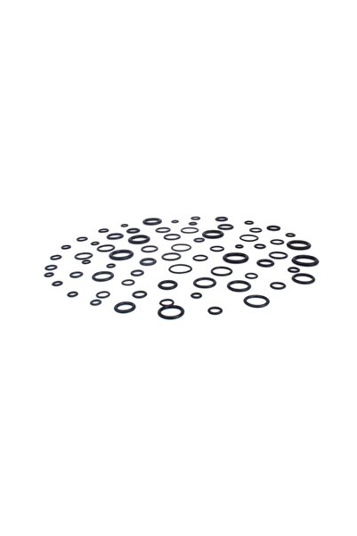 ASTA O-ring seal set, 270 pieces,