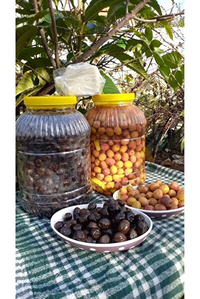 KAZDAĞLARI ORGANİK LEZZETLER 5 Litrelik Gemlik Mega zeytin