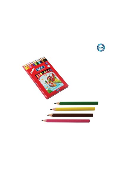 12 Lİ JUMBO KURU BOYA