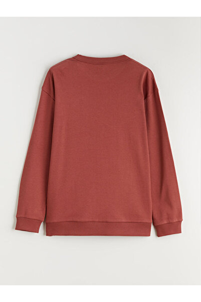 LC Waikiki Crew Neck Printed Boy's T-Shirt