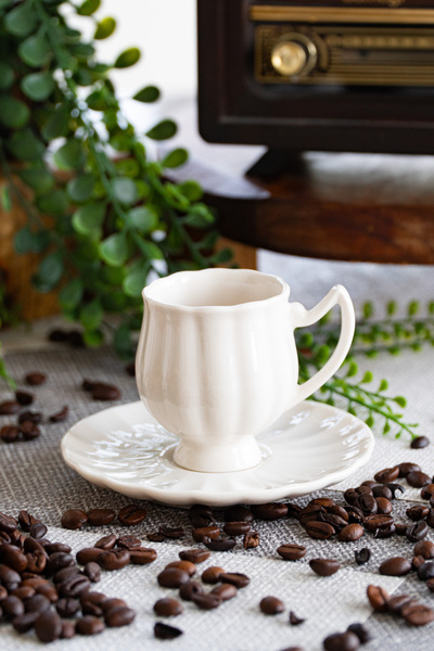 Farika Porselen Tulip 4 Piece 2-Person Porcelain Coffee Cup Set