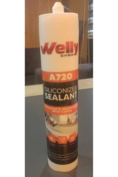 WELLY SİLİKONİZE MASTİK
