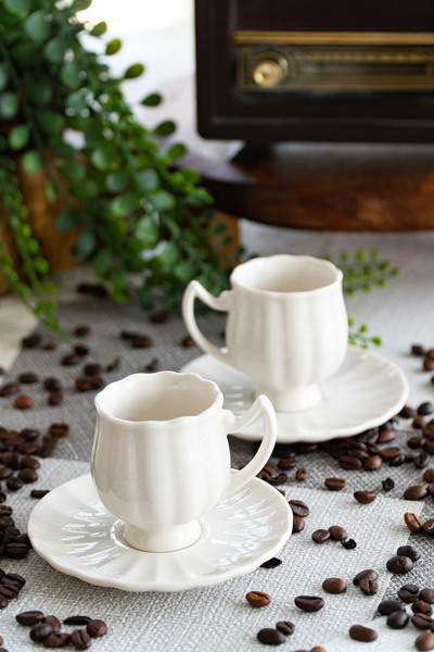 Farika Porselen Tulip 4 Piece 2-Person Porcelain Coffee Cup Set