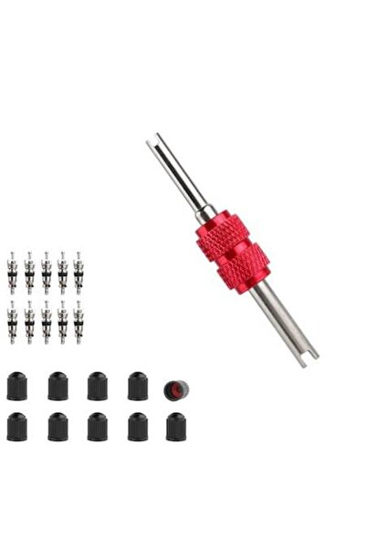 OEM Set of 10 valves and 10 wheel caps for car valve with screw-in/screw-out screwdriver, scooter