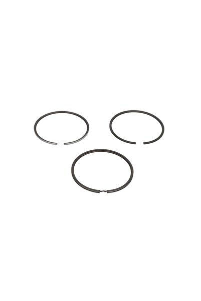 GOETZE Segmenti motor Case IH 3139594R91