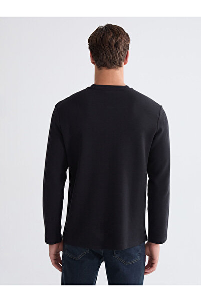 LC Waikiki Crew Neck Long Sleeve Men's T-Shirt