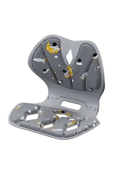 Danex Seat Support for Posture Correction, Portable, Foldable, Ergonomic, Size L, Grey