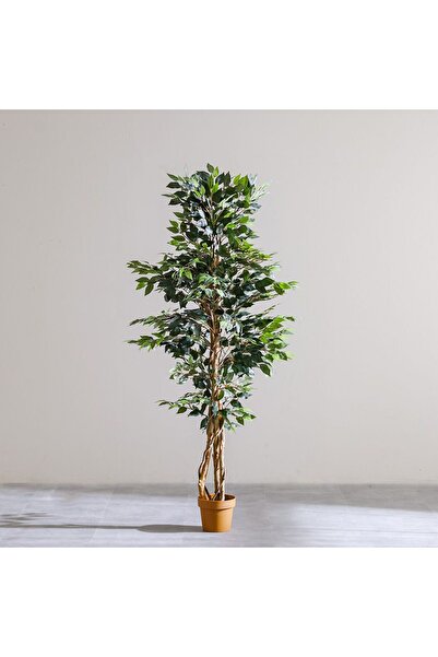 Danube Home Faux Ficus Tree 203 cm – Real Touch Artificial Indoor Statement Plant