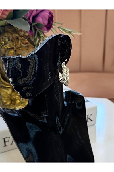 My Life Accessory Multi Row Zircon Detailed Silver Silver Color Steel Earrings Modern Women's Earrings