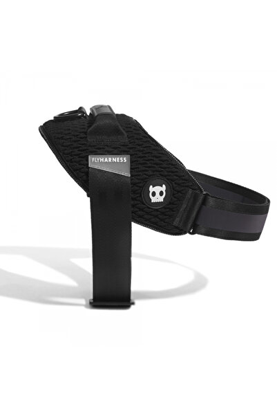 Zee Dog حزام صيد جوثام من زي دوغ (مقاس 3)